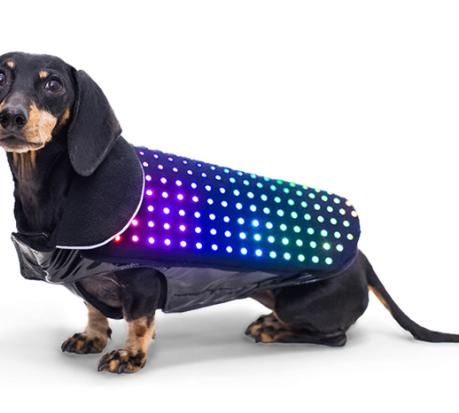 Sci-Fi Fridays: Future Fidos wear LEDs
