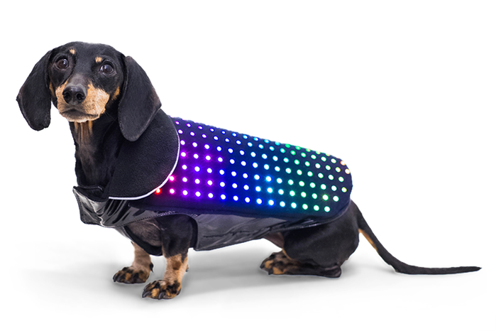Sci-Fi Fridays: Future Fidos wear LEDs